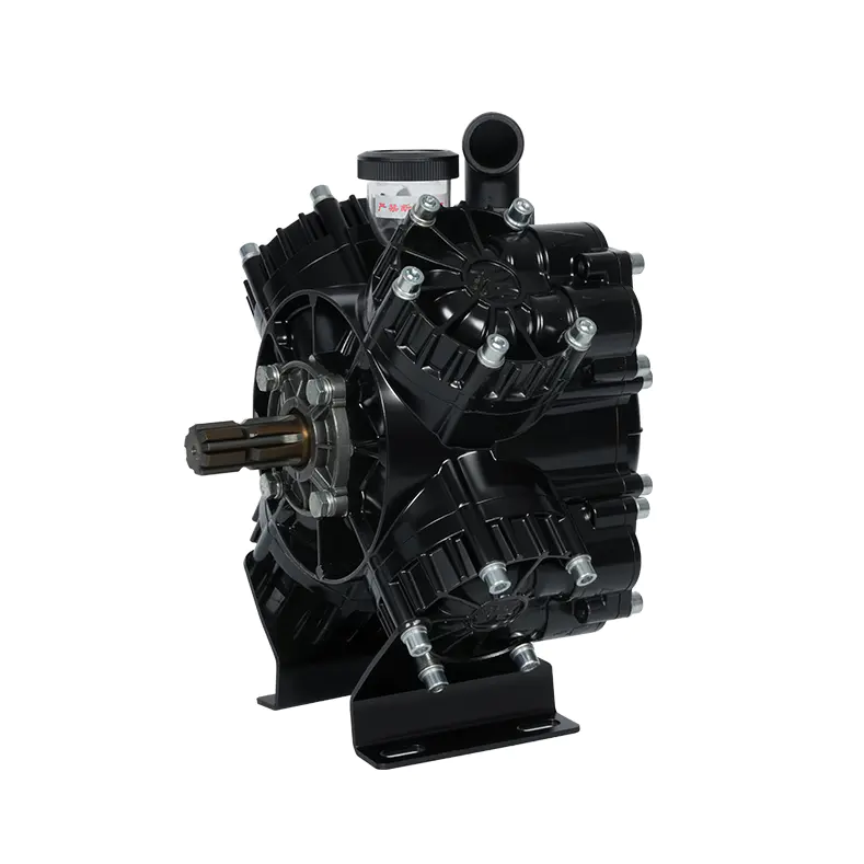 What Maintenance Is Required For A Diaphragm Pump For Pesticides