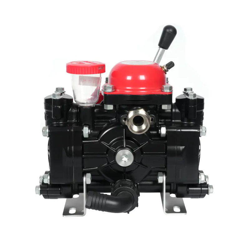 What Should You Know Before Choosing a Diaphragm Agricultural Sprayer Pump