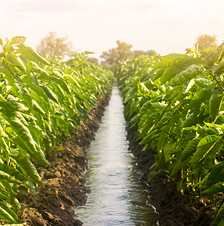 Jinhua Shuangding Machinery Co., Ltd.